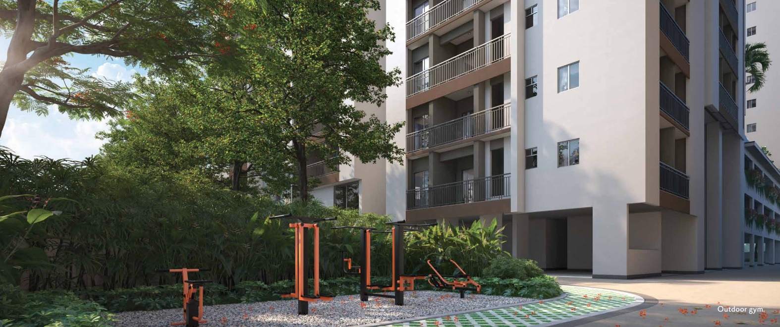 OUTDOOR GYM